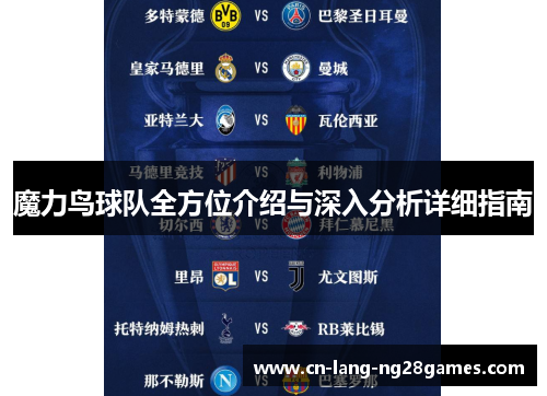 魔力鸟球队全方位介绍与深入分析详细指南