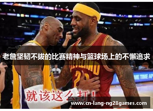 老詹坚韧不拔的比赛精神与篮球场上的不懈追求