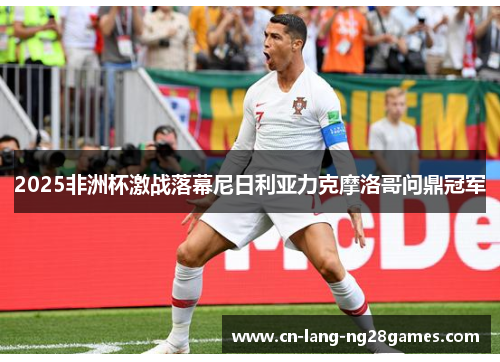 2025非洲杯激战落幕尼日利亚力克摩洛哥问鼎冠军